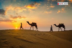 Udaipur, Jodhpur, Jaisalmer,Jaipur-Pink City, Ranthambhor 